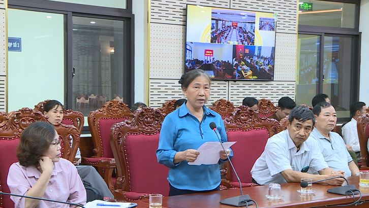 Hội nghị tiếp xúc cử tri sau Kỳ họp thường lệ giữa năm (kỳ họp thứ 25) HĐND thành phố tại các xã Phúc Thọ, Phúc Lộc, Hát Môn- Ảnh 3.
