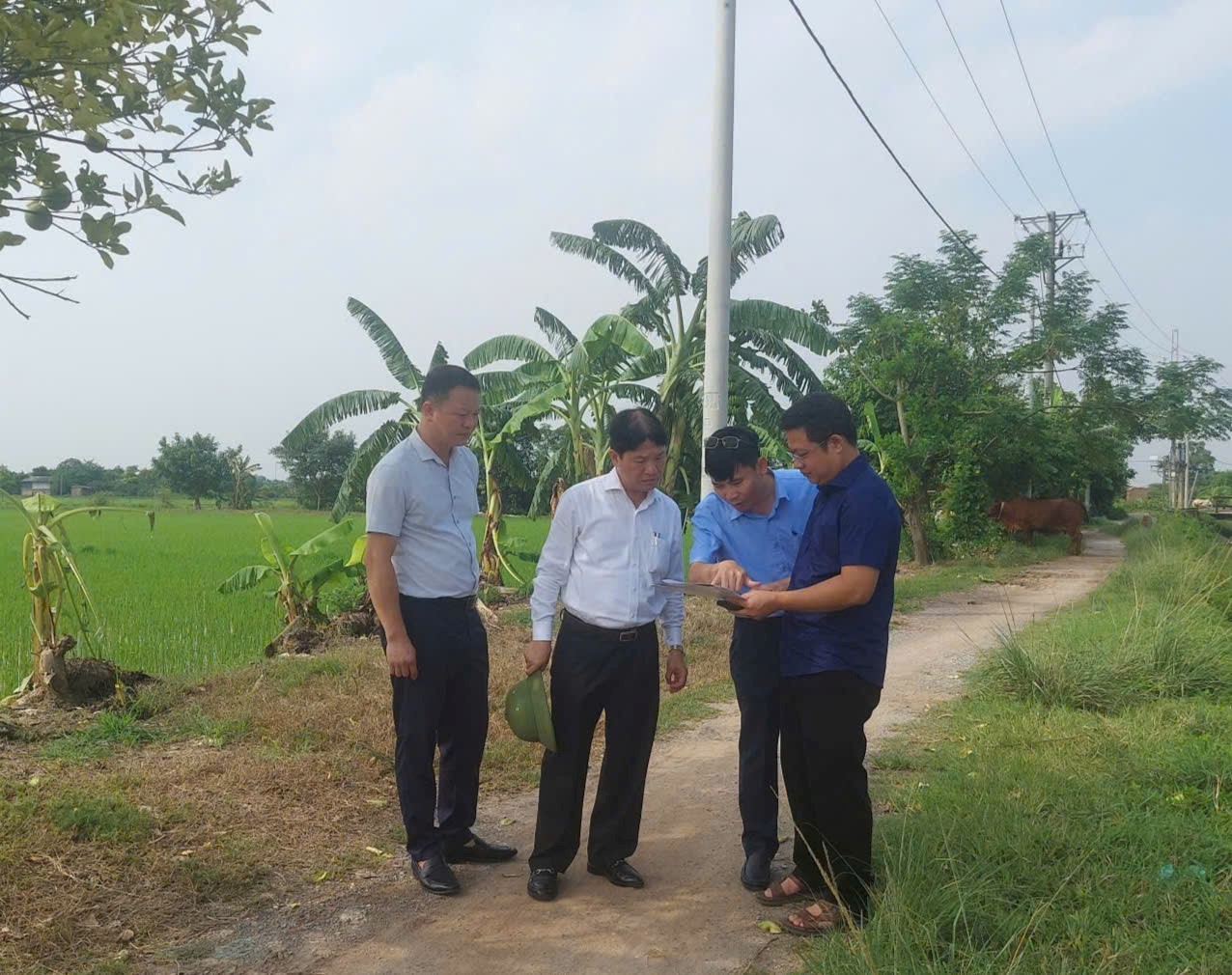 Lãnh đạo xã Thuận An kiểm tra tiến độ dự án trên địa bàn Xã- Ảnh 3.