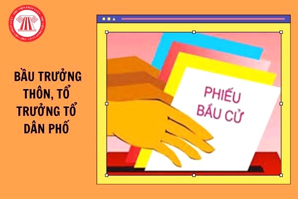 Phường Tây Tựu chỉ đạo bầu cử Tổ trưởng Tổ dân phố nhiệm kỳ 2025 - 2027: Đảm bảo dân chủ, đúng quy định- Ảnh 1.