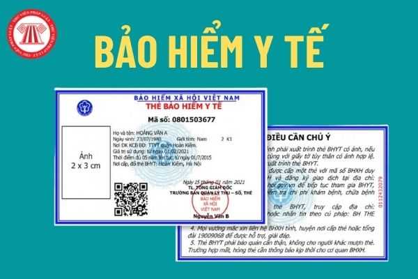 Tiếp tục sử dụng thẻ BHYT đã cấp để khám chữa bệnh khi thực hiện chính quyền địa phương 2 cấp- Ảnh 1.
