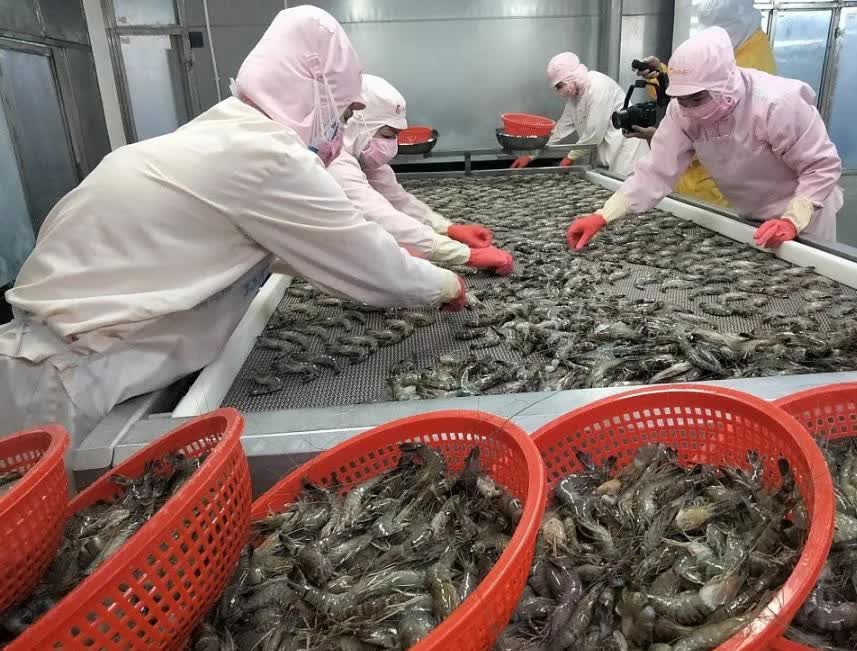 Doanh nghiệp Việt Nam sẵn sàng trước các mức thuế đối ứng của Mỹ sau ngày 9/7- Ảnh 1.