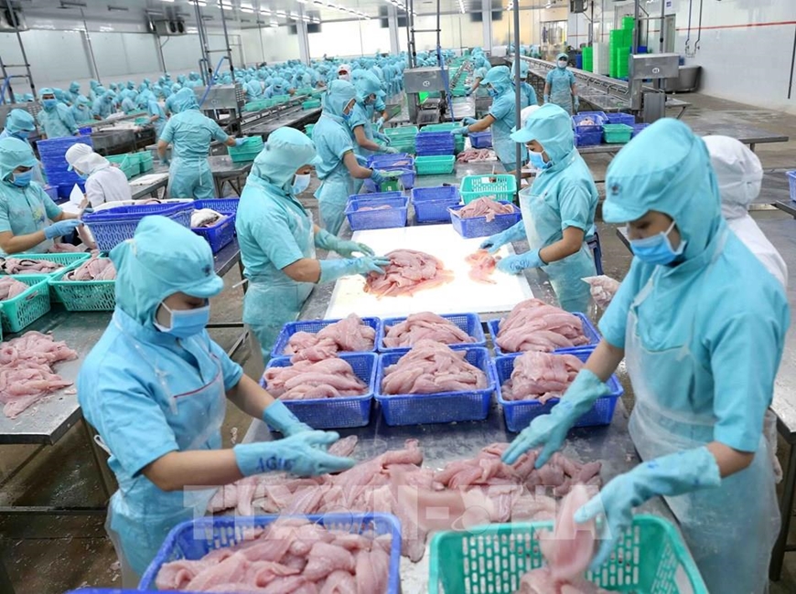 Phản bác quan điểm sai trái, xuyên tạc dự thảo các văn kiện của Đảng về các thành phần kinh tế- Ảnh 1.