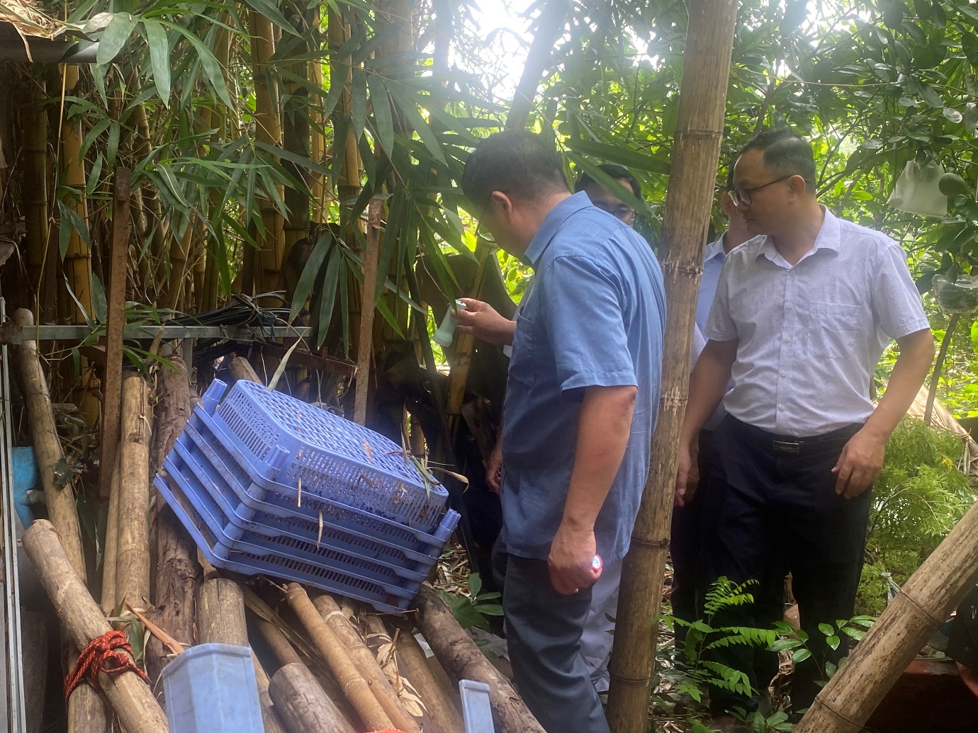 Kiểm soát các yếu tố nguy cơ để hạn chế tối đa phát sinh các ổ dịch sốt xuất huyết- Ảnh 2.