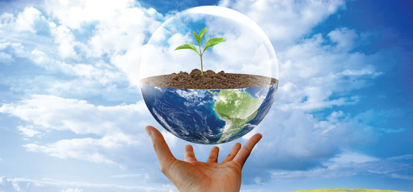 A hand holding a globe with a plant inside  AI-generated content may be incorrect.