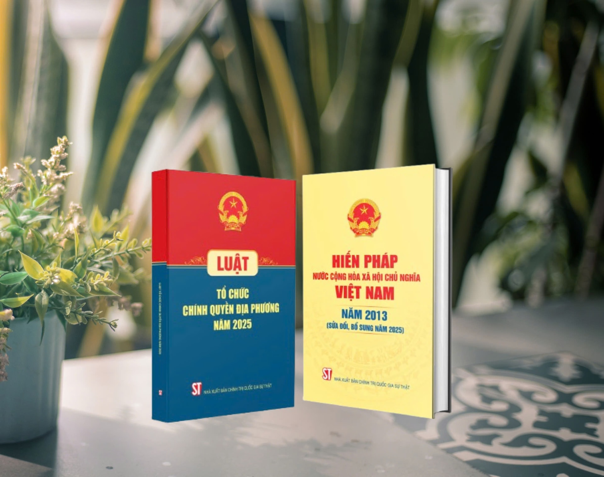 Ra mắt hai cuốn sách về Hiến pháp và Luật Tổ chức chính quyền địa phương- Ảnh 1.