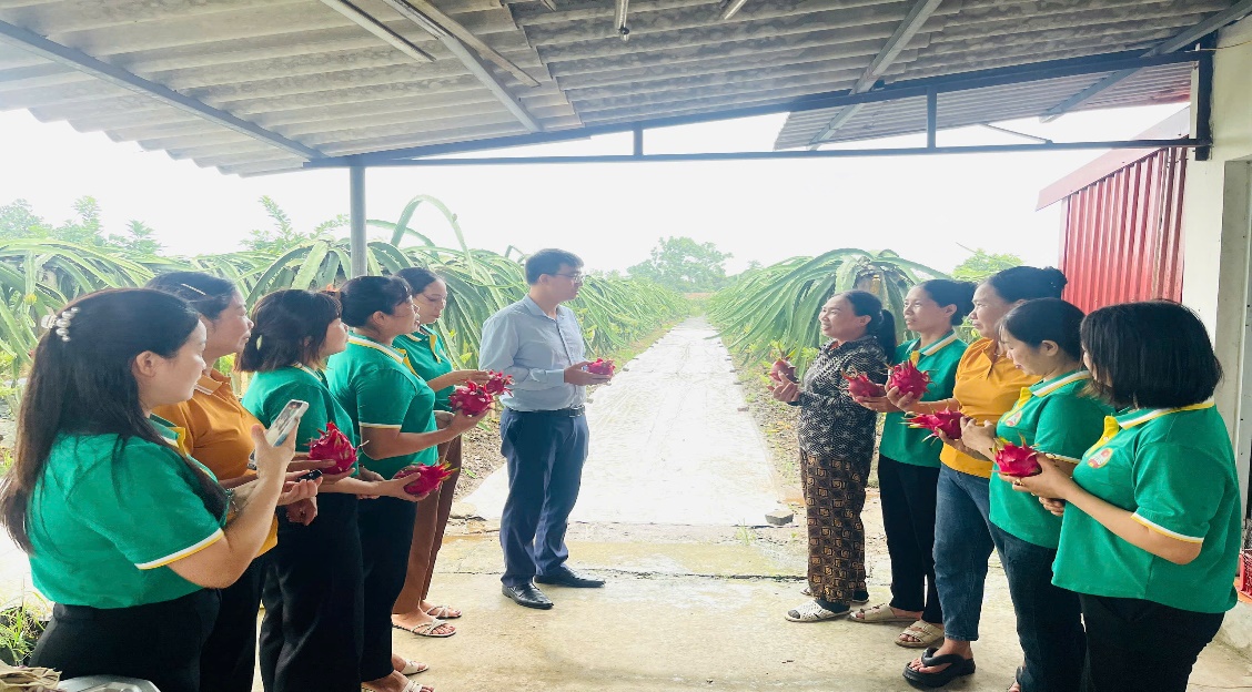 Hội Nông dân xã Thư Lâm tham quan, học tập mô hình trồng cây thanh long hiệu quả- Ảnh 2.