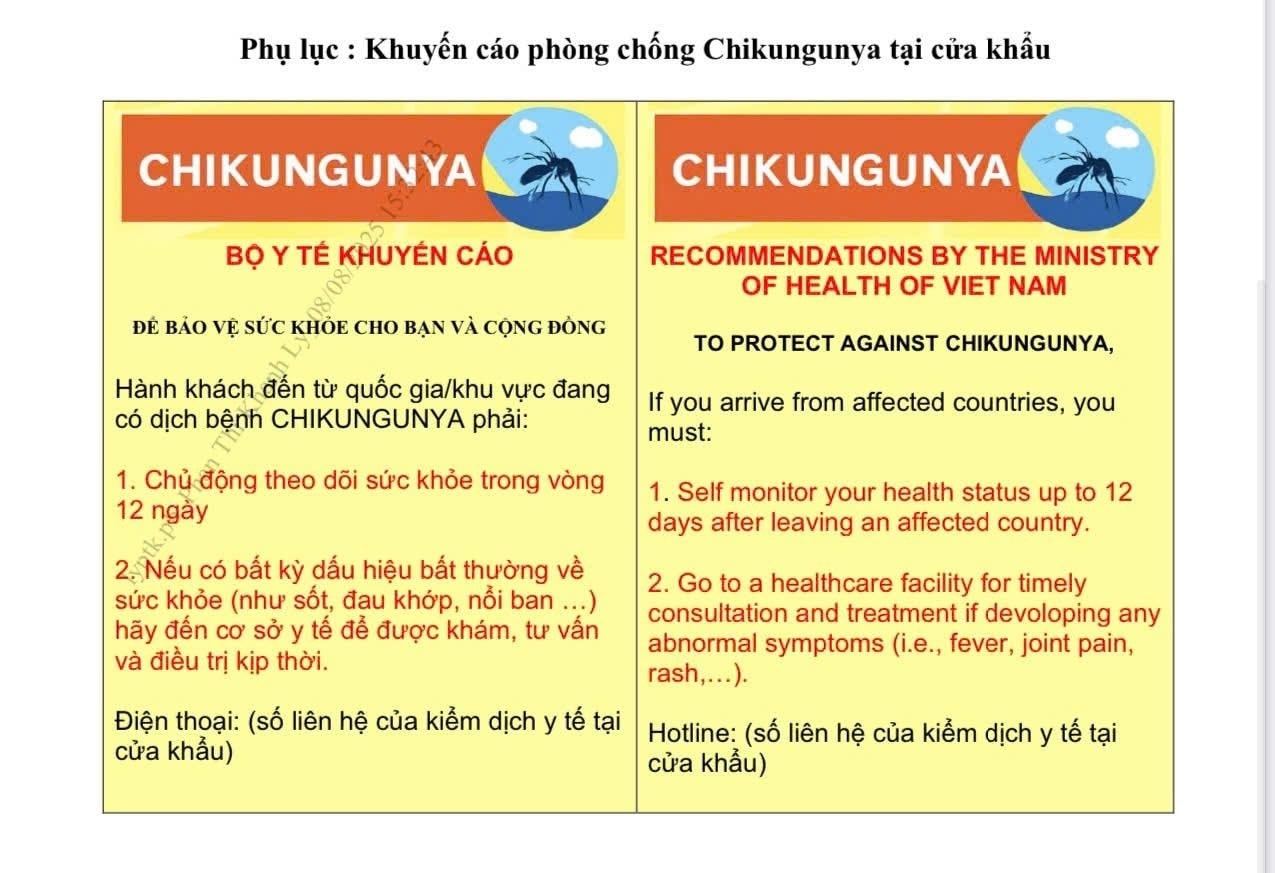 Bộ Y tế đề nghị tăng cường phòng, chống bệnh Chikungunya- Ảnh 1.