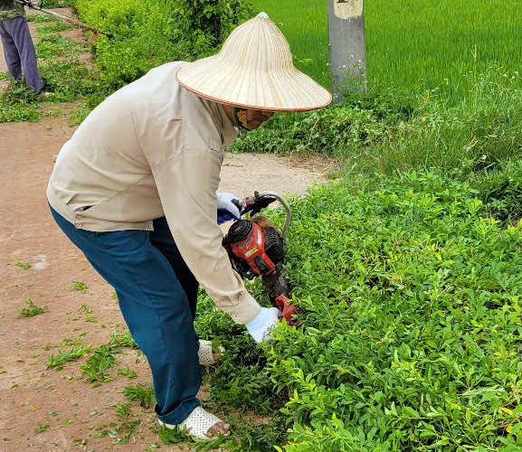Cán bộ và nhân dân thôn Yên Khê hưởng ứng phong trào “Sáng, Xanh, Sạch, Đẹp”, chào mừng Đại hội đại biểu Đảng bộ phường Chương Mỹ lần thứ I, nhiệm kỳ 2025 – 2030- Ảnh 2.