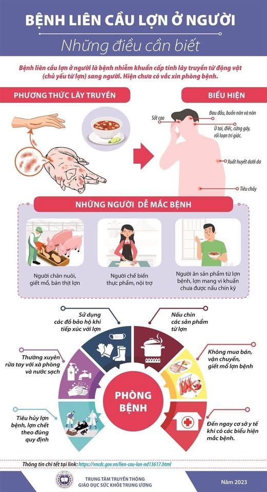CHỦ ĐỘNG PHÒNG, CHỐNG BỆNH LIÊN CẦU LỢN- Ảnh 1.