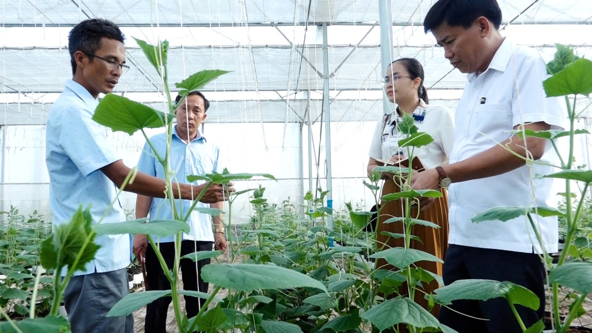 Hồng Sơn - Miền đất đáng sống- Ảnh 4.