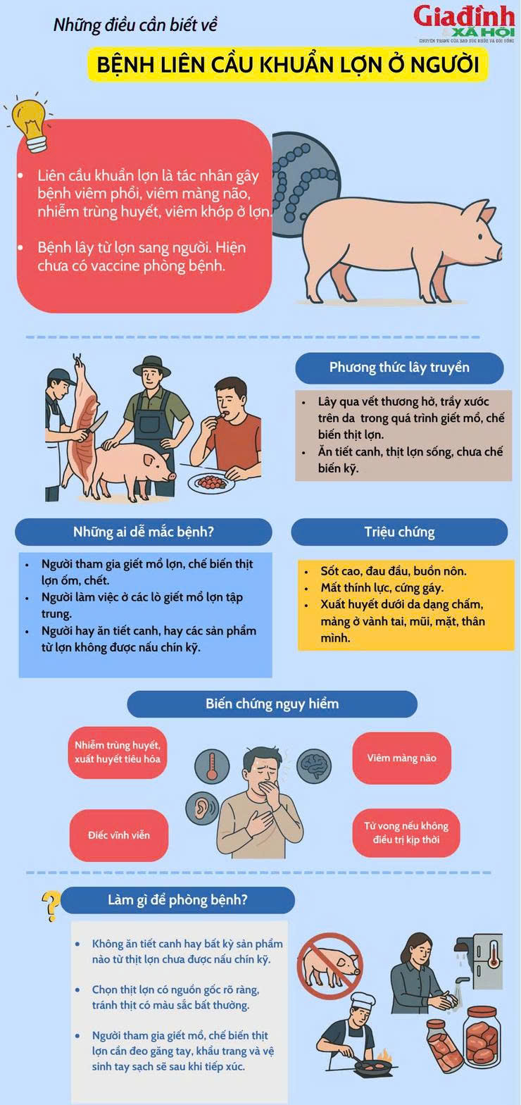 Tăng cường phòng, chống bệnh liên cầu lợn trên người- Ảnh 1.