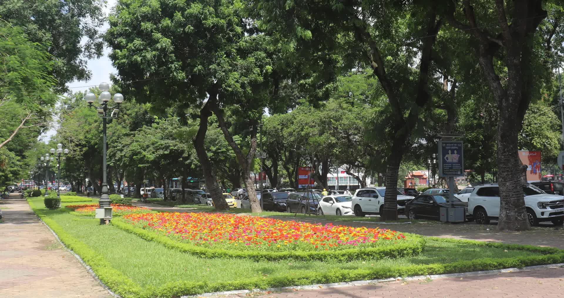 Phường Hai Bà Trưng chủ động, khẩn trương chỉnh trang đô thị phục vụ sự kiện trọng đại của đất nước- Ảnh 7.