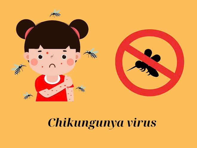 KHUYẾN CÁO PHÒNG CHỐNG BỆNH CHIKUNGUNYA- Ảnh 1.