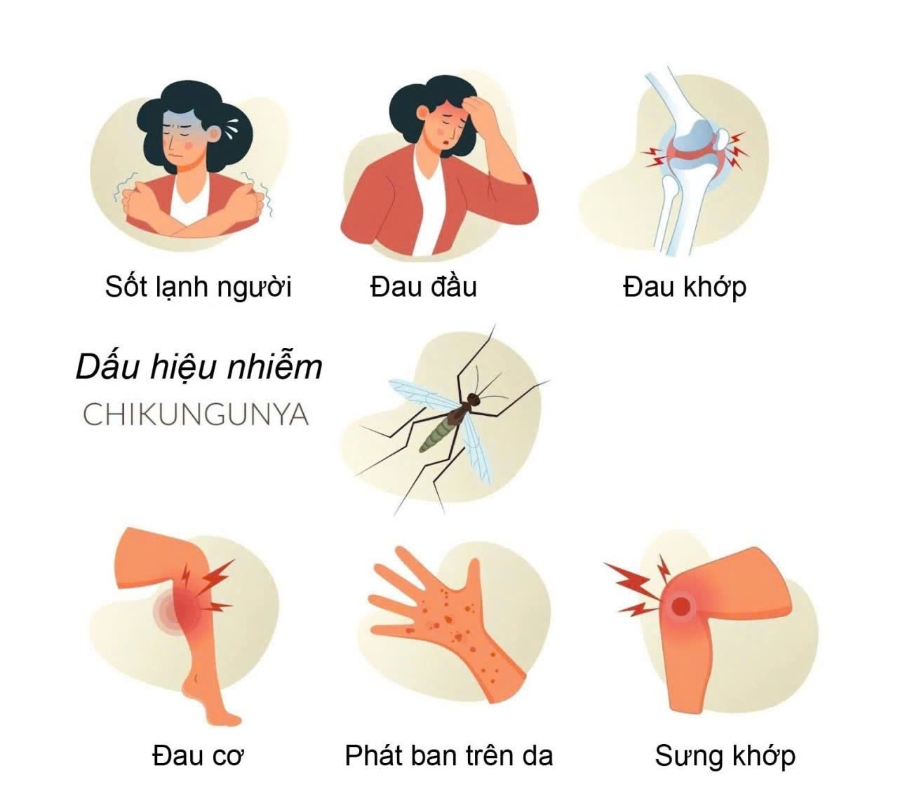 KHUYẾN CÁO PHÒNG CHỐNG BỆNH CHIKUNGUNYA- Ảnh 2.