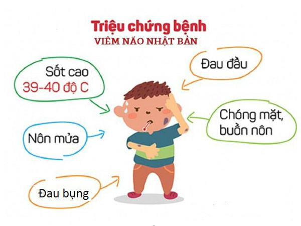 KHUYẾN CÁO PHÒNG CHỐNG BỆNH VIÊM NÃO NHẬT BẢN- Ảnh 3.