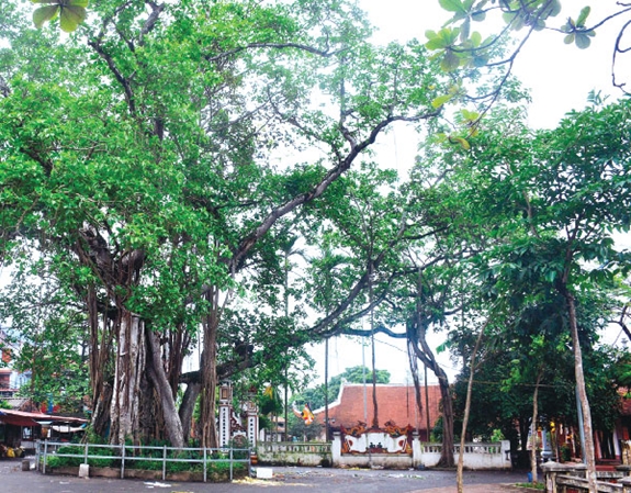 Tin tưởng, kỳ vọng vào một nhiệm kỳ phát triển đột phá mang tới một tương lai tươi sáng- Ảnh 8.