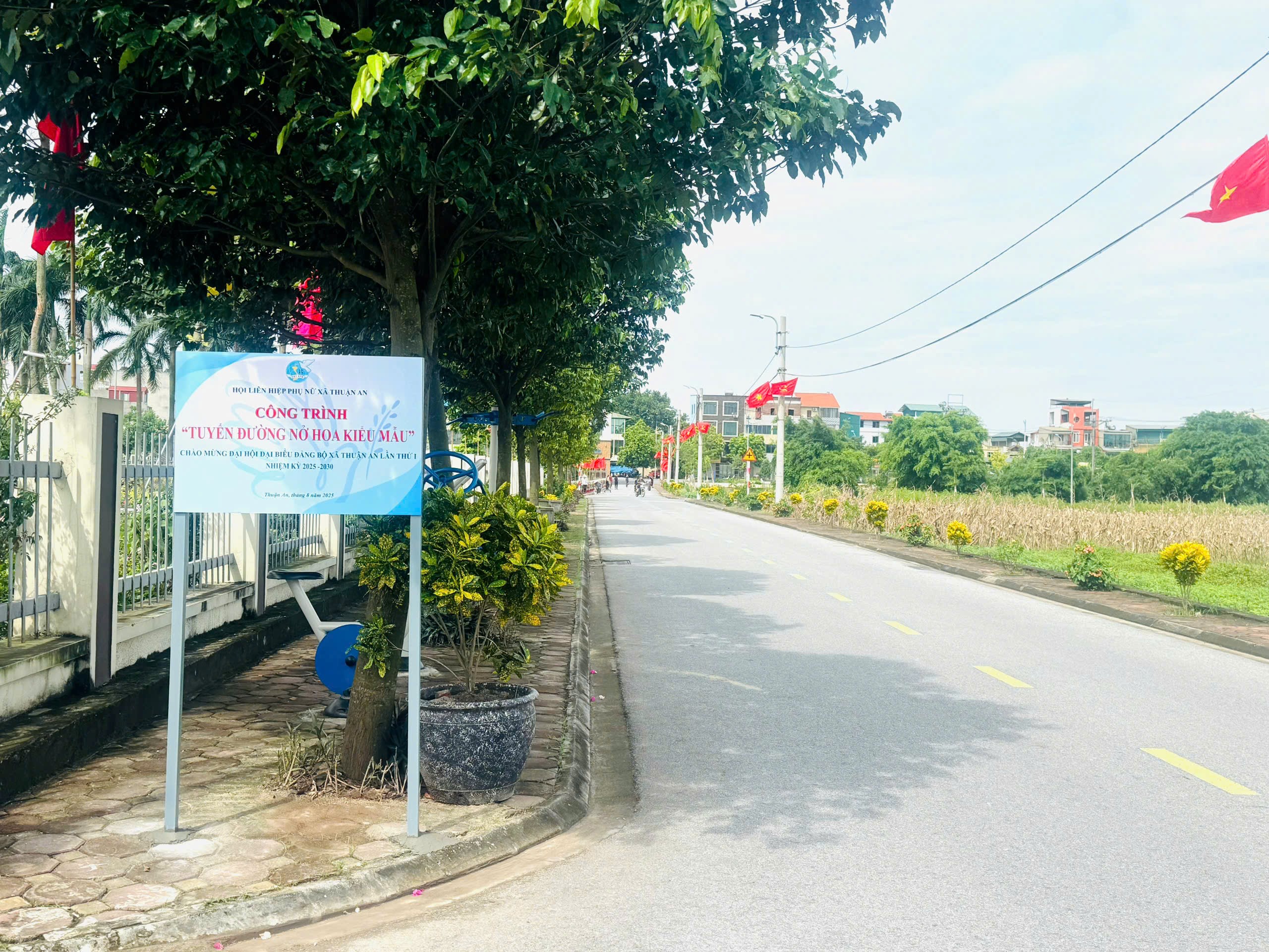 Rực rỡ cờ hoa chào mừng Đại hội Đại biểu Đảng bộ xã Thuận An lần thứ I nhiệm kỳ 2025 - 2030- Ảnh 14.