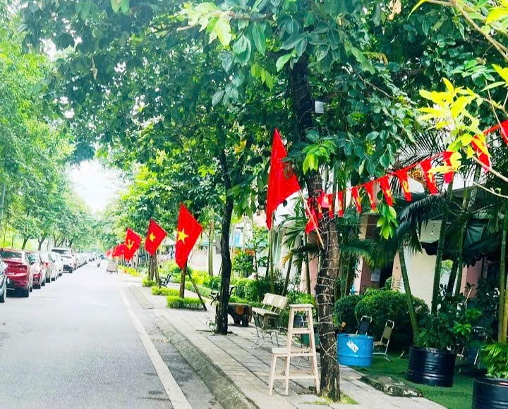 Rực rỡ cờ hoa chào mừng Đại hội Đại biểu Đảng bộ xã Thuận An lần thứ I nhiệm kỳ 2025 - 2030- Ảnh 7.