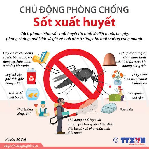 Xã Đan Phượng chủ động diệt bọ gậy- phòng chống Sốt xuất huyết.- Ảnh 2.
