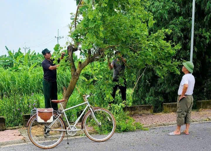 Xã Thuận An phát động Phong trào thi đua “Sáng - Xanh - Sạch - Đẹp”- Ảnh 12.