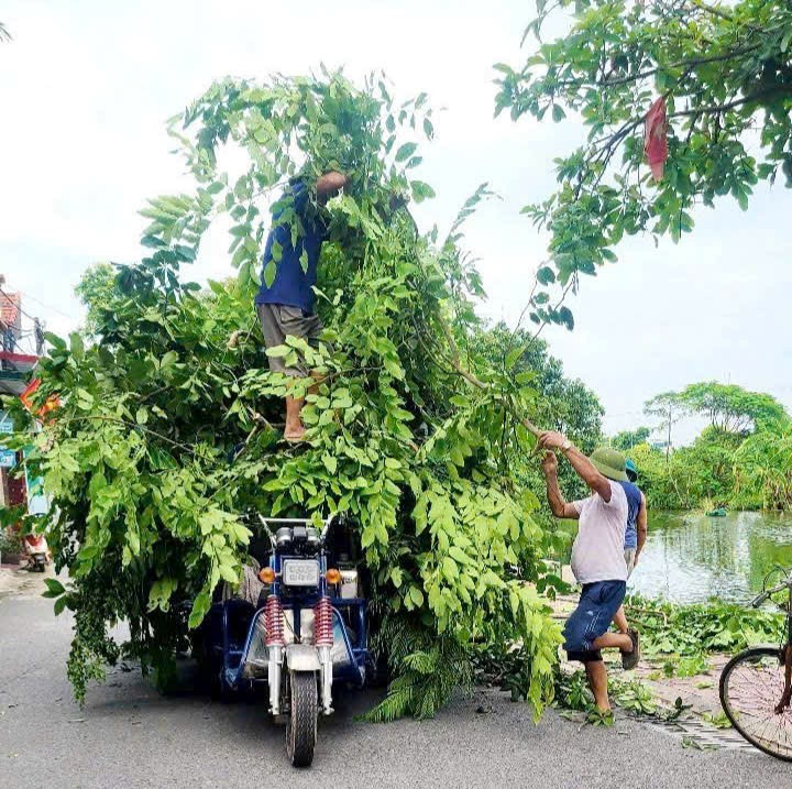 Xã Thuận An phát động Phong trào thi đua “Sáng - Xanh - Sạch - Đẹp”- Ảnh 13.