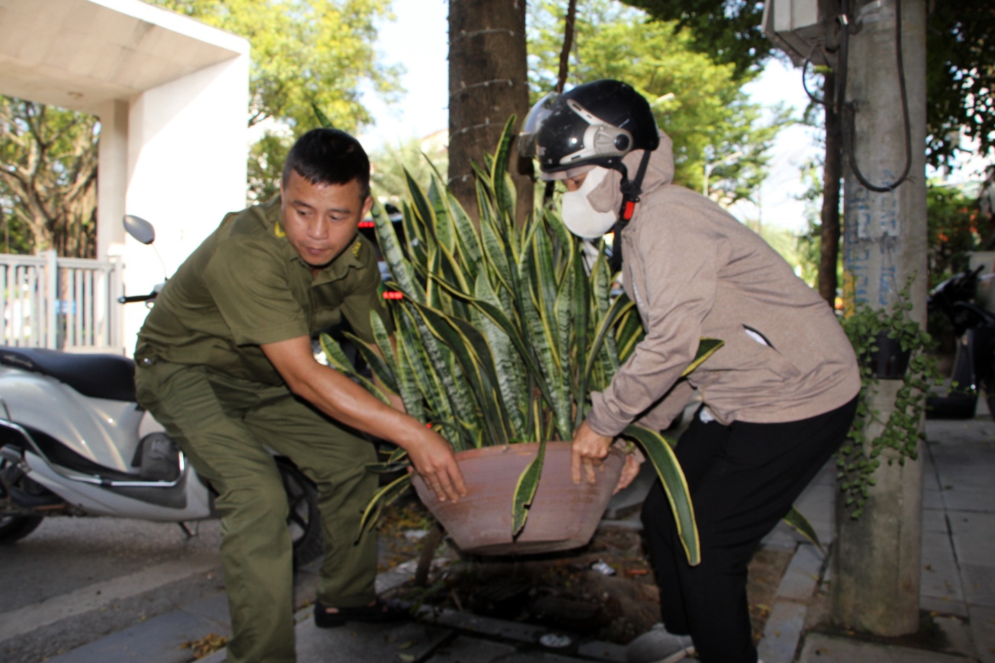 A person wearing a mask and holding a plant  AI-generated content may be incorrect.