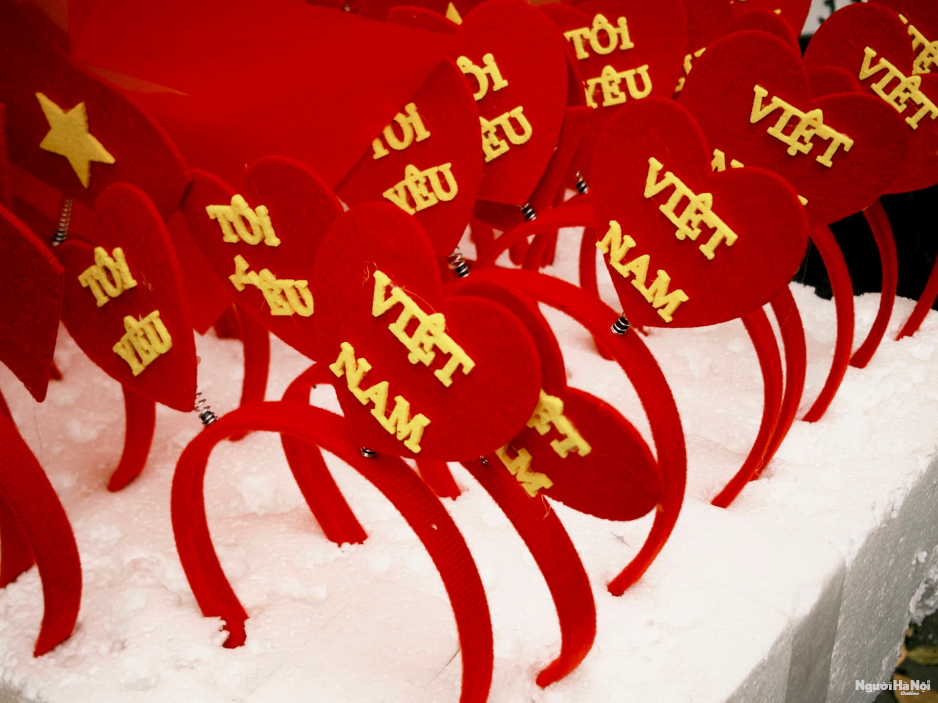 Hà Nội rực rỡ cờ hoa – Tự hào 80 năm mùa Thu cách mạng- Ảnh 14.