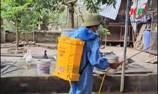 Phòng Kinh tế xã Kiều Phú triển khai công tác vệ sinh, khử trùng, tiêu độc phòng chống dịch bệnh sau mùa mưa lũ- Ảnh 6.