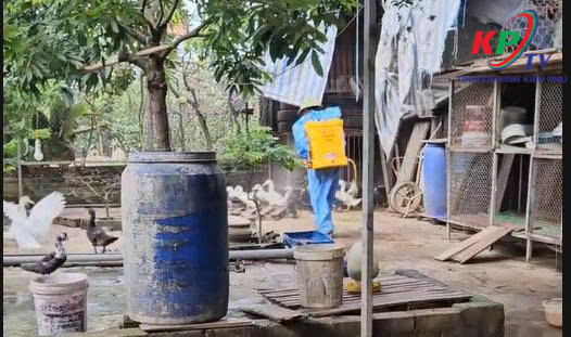 Phòng Kinh tế xã Kiều Phú triển khai công tác vệ sinh, khử trùng, tiêu độc phòng chống dịch bệnh sau mùa mưa lũ- Ảnh 5.