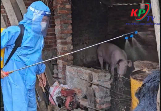 Phòng Kinh tế xã Kiều Phú triển khai công tác vệ sinh, khử trùng, tiêu độc phòng chống dịch bệnh sau mùa mưa lũ- Ảnh 1.