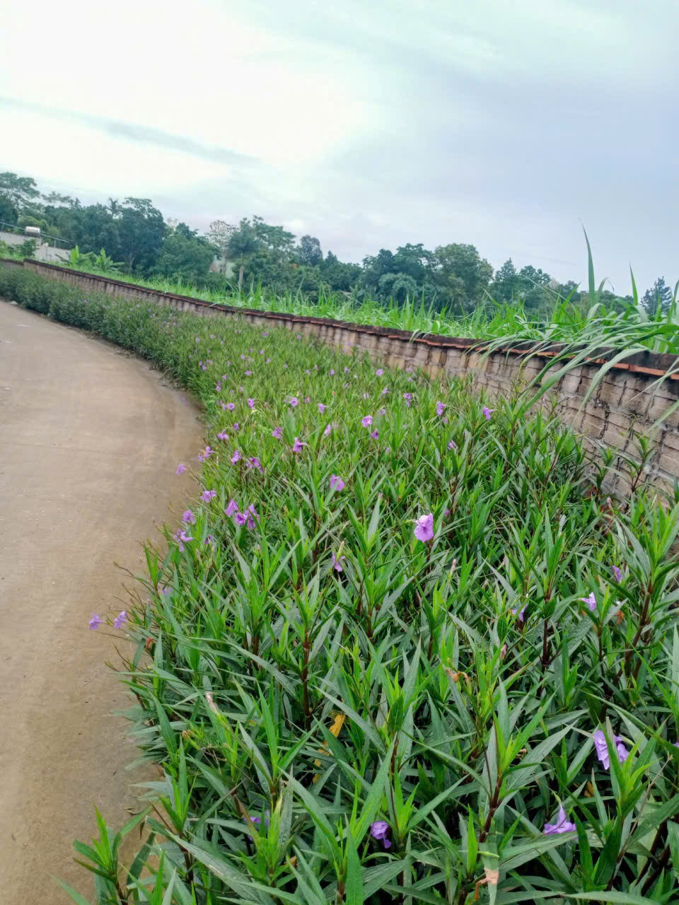BẢN TIN TUYÊN TRUYỀN- Ảnh 6.
