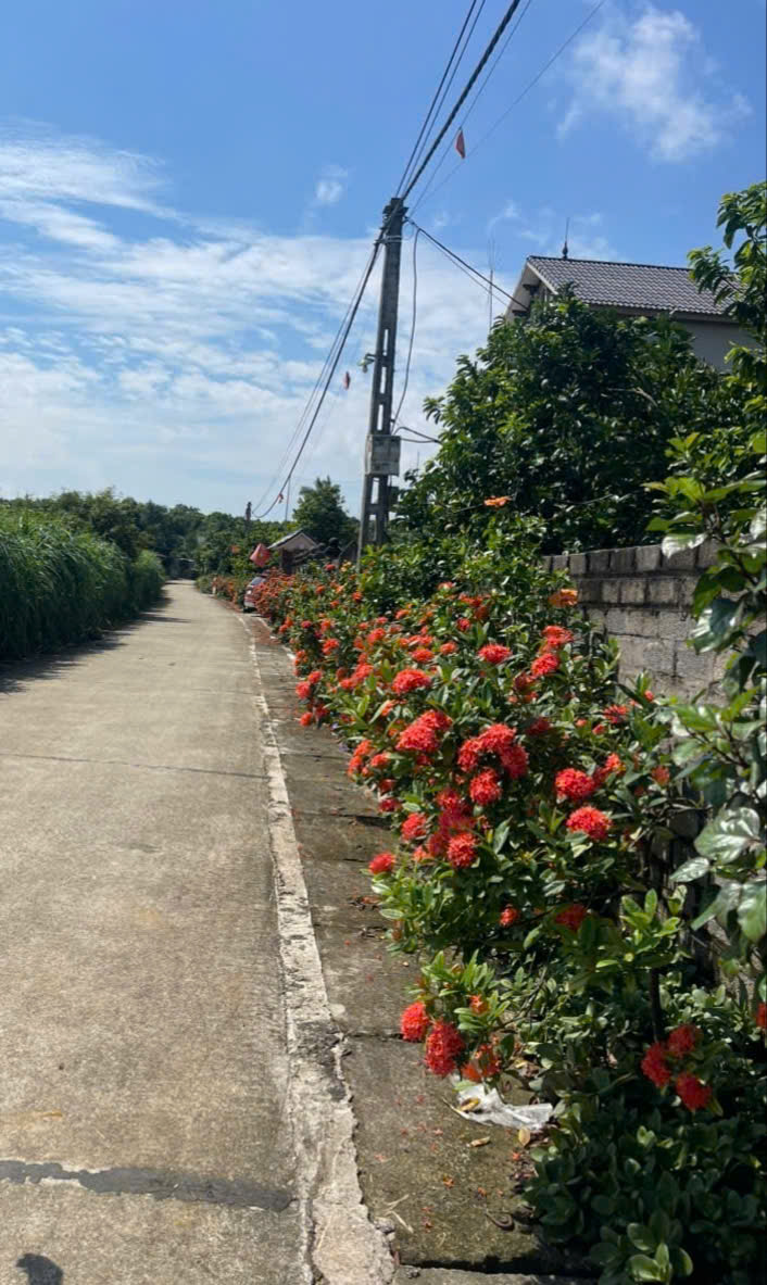 BẢN TIN TUYÊN TRUYỀN- Ảnh 7.