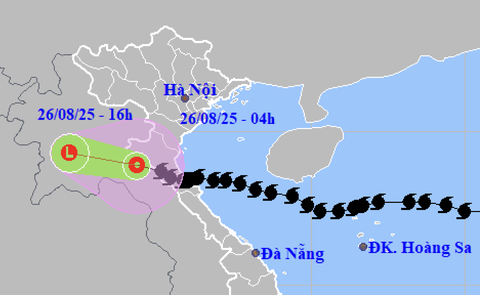 UBND xã Phú Nghĩa chỉ đạo triển khai công tác đảm bảo an toàn hệ thống đê điều, công trình thủy lợi ứng phó bão số 5 và mưa lũ- Ảnh 1.