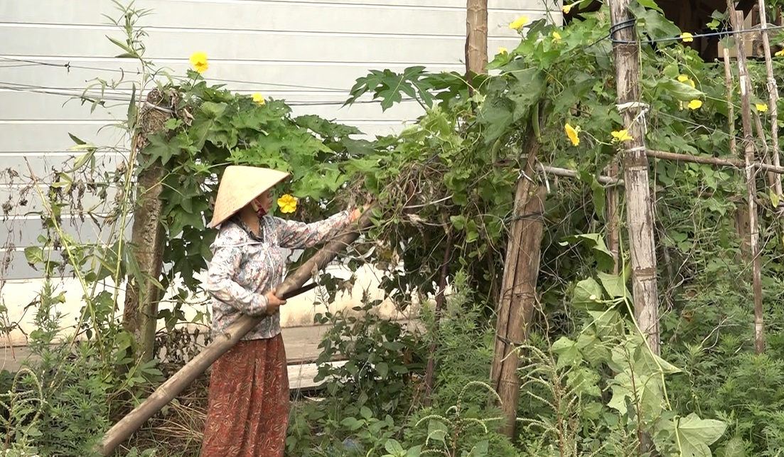 Mỹ Đức quyết tâp dập tắt ổ dịch sốt xuất huyết- Ảnh 12.