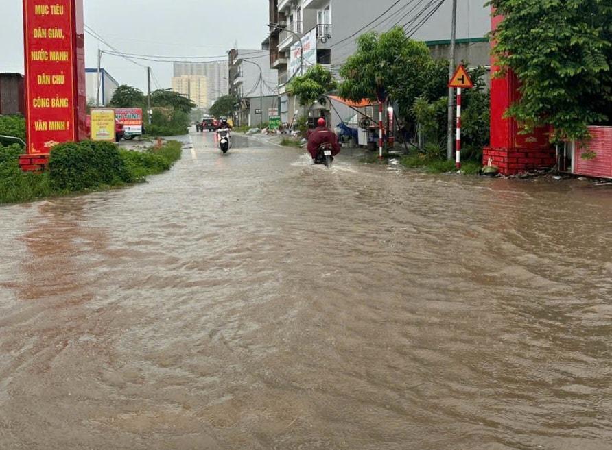Hoài Đức chủ động ứng phó, giảm thiểu thiệt hại do bão số 5 gây ra- Ảnh 6.