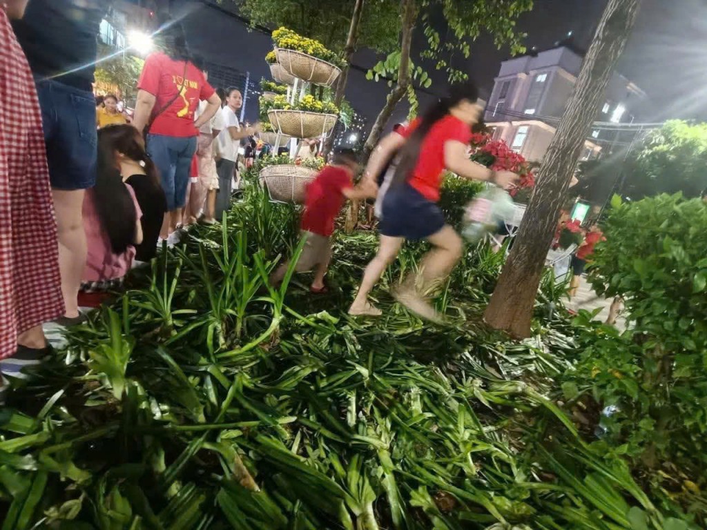 Hãy giữ sạch môi trường để đại lễ được trọn vẹn- Ảnh 2.