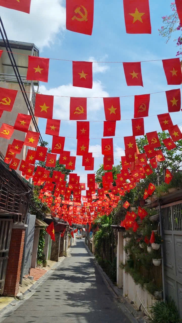 Đông Anh chỉnh trang cảnh quan chào mừng 80 năm Quốc khánh- Ảnh 7.