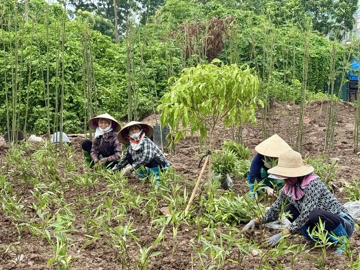 Phường Lĩnh Nam rực rỡ cờ hoa, sẵn sàng cho kỳ đại hội lịch sử- Ảnh 5.