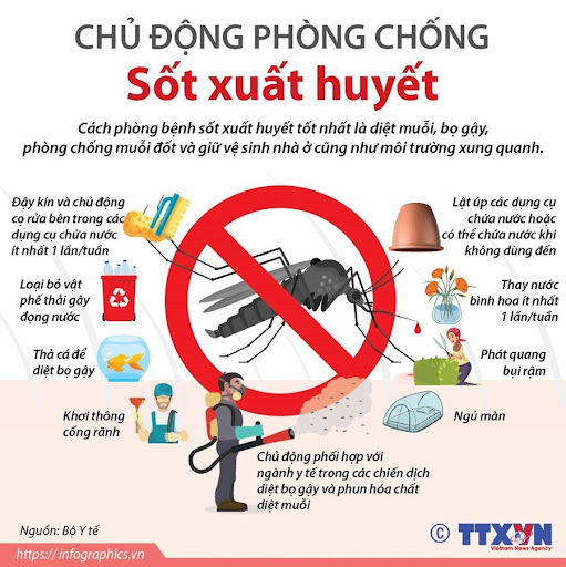 Chủ động phòng, chống sốt xuất huyết trong mùa mưa bão- Ảnh 1.