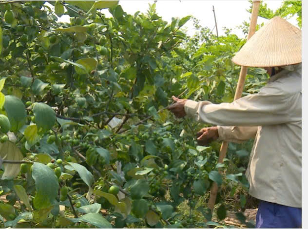 Hoài Đức phấn đấu xây dựng xã trở thành phường giàu đẹp, văn minh, hạnh phúc.- Ảnh 3.