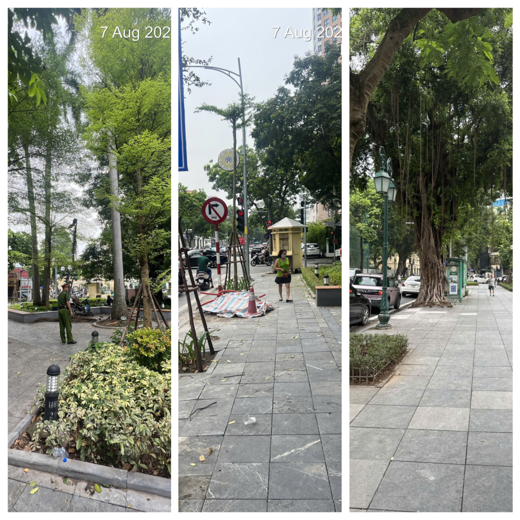 Phường Cửa Nam kiên quyết xử lý nghiêm vi phạm trật tự đô thị- Ảnh 2.
