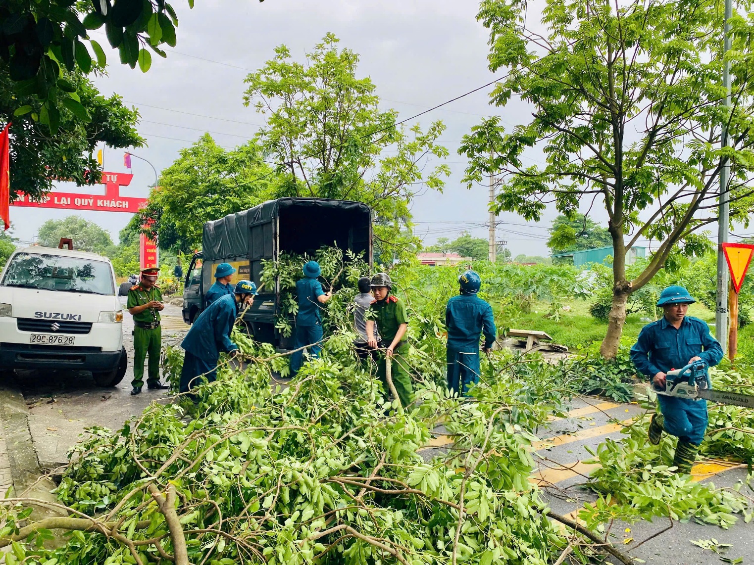UBND xã Hoài Đức chỉ đạo rà soát, tổ chức cắt tỉa cây xanh phòng chống thiên tai, mưa bão trên địa bàn xã năm 2025- Ảnh 1.