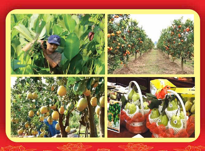 Phát huy truyền thống, kiến tạo tương lai, chung tay xây dựng xã Thanh Oai văn minh, hiện đại, nhân dân hạnh phúc- Ảnh 6.