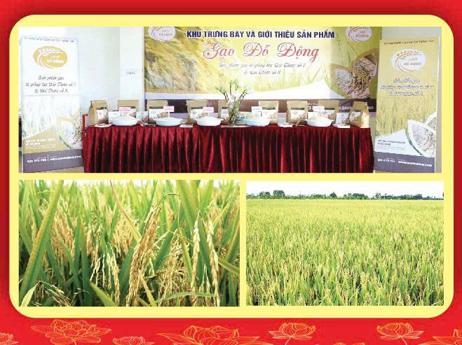 Phát huy truyền thống, kiến tạo tương lai, chung tay xây dựng xã Thanh Oai văn minh, hiện đại, nhân dân hạnh phúc- Ảnh 5.