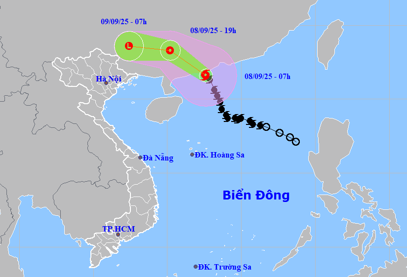 Hoài Đức triển khai kế hoạch ứng phó với bão số 7 TAPAH- Ảnh 1.
