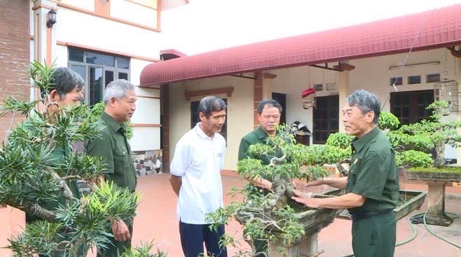 Gương sáng Cựu chiến binh làm kinh tế giỏi- Ảnh 1.