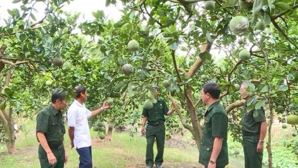 Gương sáng Cựu chiến binh làm kinh tế giỏi- Ảnh 2.