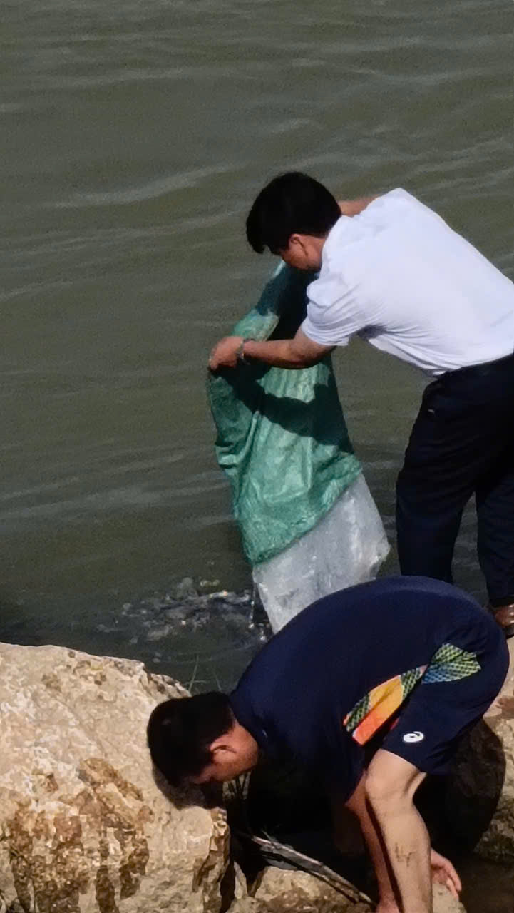 C:\Users\Administrator\Desktop\New folder (8)\f3354113-81cc-4079-95f8-0608f235de1b.jpg