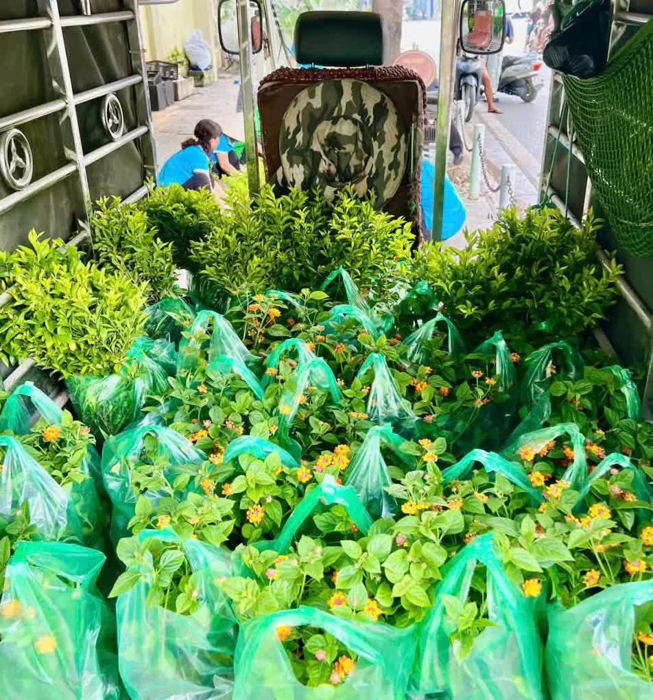 Phường Hai Bà Trưng: đông đảo lực lượng chung tay thực hiện “Đường hoa Đại đoàn kết”- Ảnh 2.