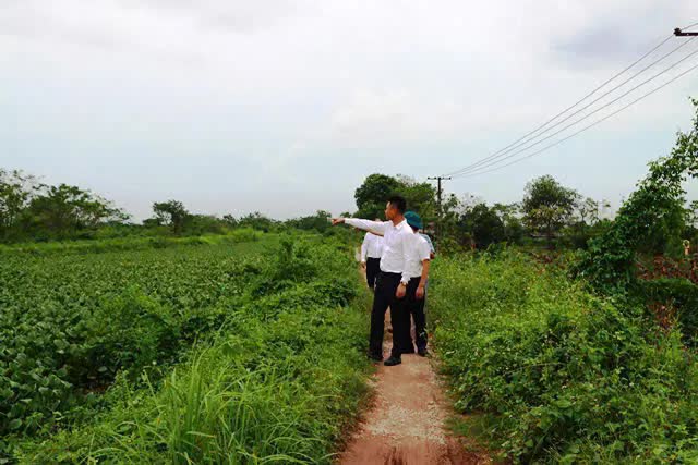 Cuối năm 2025 xã Phú Xuyên giải ngân đạt 100% vốn đầu tư công- Ảnh 2.